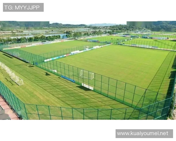 探索全球最好的足球场：从设计理念到球迷体验的完美结合